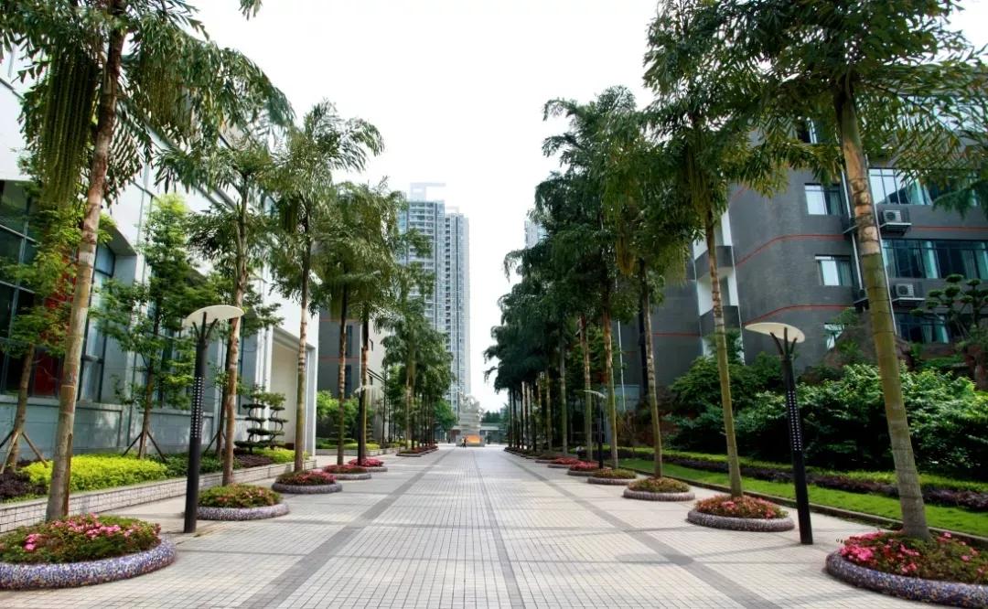 家长必看十大大学,成都家长口碑100强小学排名