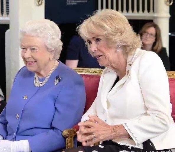 她是永远的“英伦玫瑰”，赢得了全英国的尊重，却输给情敌卡米拉