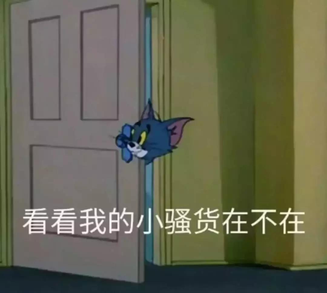 zaraur新品,zara新品美到爆