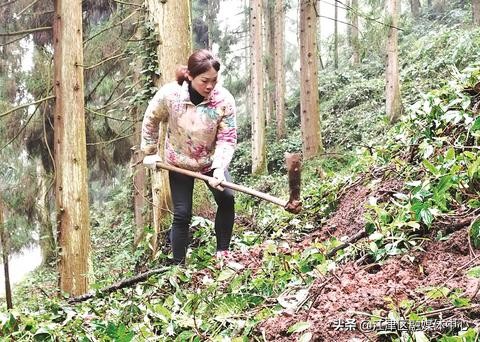 今天致敬每一个你,致敬了不起的她在线观看