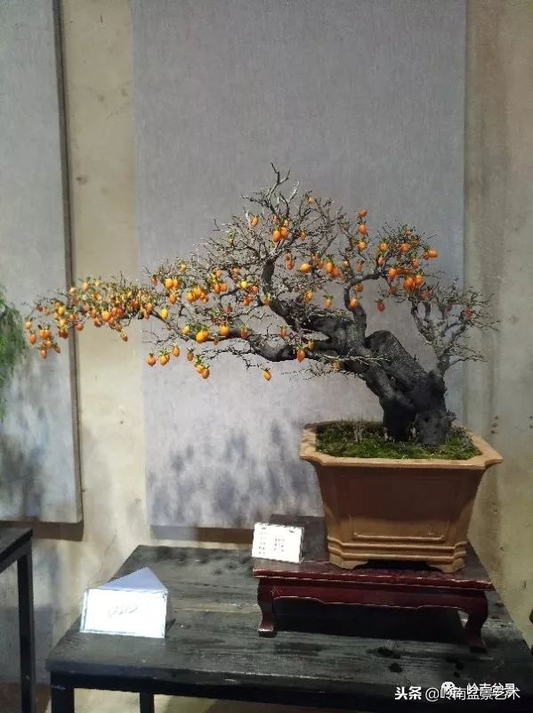 閲戝脊瀛愬湪鐩嗘櫙涓殑鍦颁綅,姒嗘爲鍦ㄧ泦鏅晫鍦颁綅