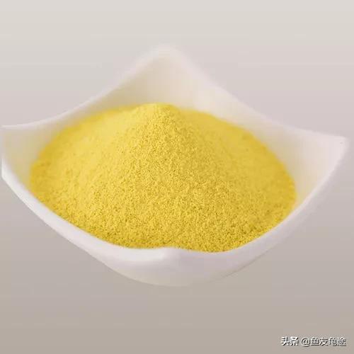 金鱼烂鳍烂尾用阿莫西林,金鱼烂尾烂鳍会传染吗