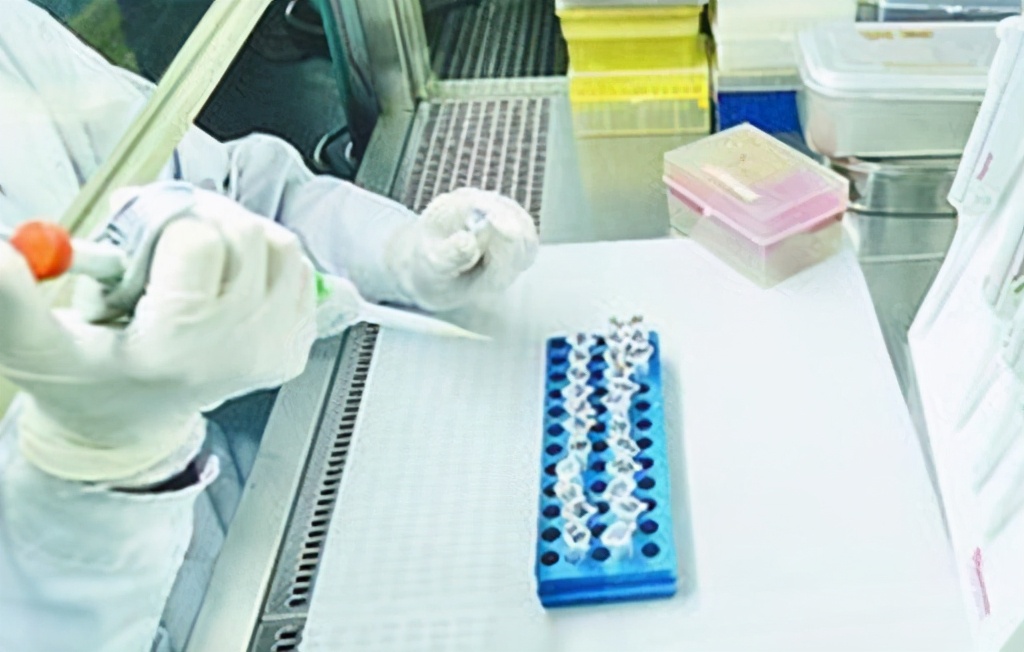 亲子鉴定师的真实案例,亲子鉴定师讲的哪些真实事件