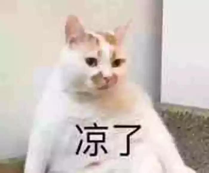 驱蚊器对猫咪的影响,驱蚊产品对猫咪有什么影响