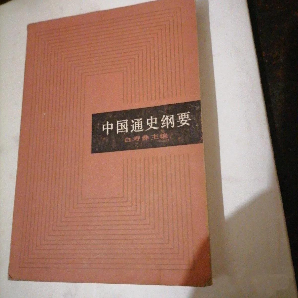 侬智高为什么被称为民族英雄,中国近代史民族英雄事迹
