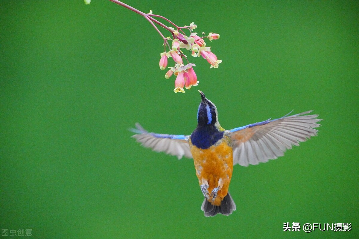 购买相机前想要了解什么,买相机最重要的参数是什么