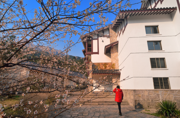 天柱山上面有酒店吗,普陀山上最美酒店
