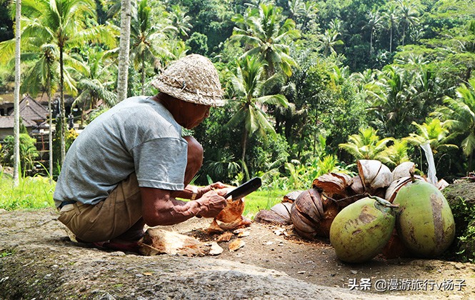 巴厘岛什锦饭和猫屎咖啡,巴厘岛的猫屎咖啡豆的价位