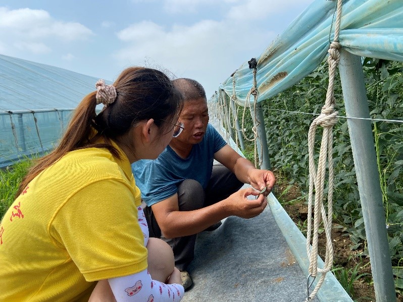 数字赋能助力乡村全面振兴三下乡,南阳理工学院三下乡社会实践