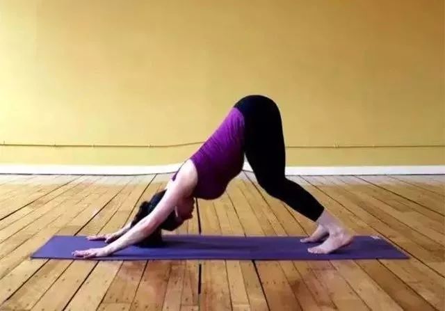 下犬式抬腿瘦腿,狗爬式减肥动作