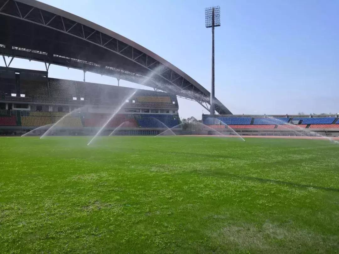 体育馆内的超绝颜值,成都双流体育场