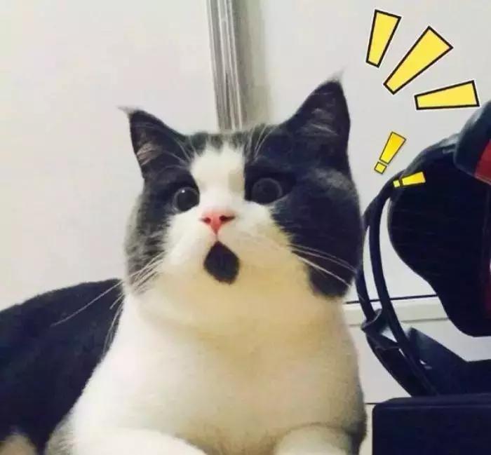 软装现代设计师,软装设计师的思维方法