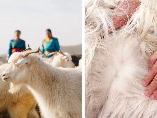 怎么买到高品质的羊绒衫,怎样才能买到好的真羊绒衫