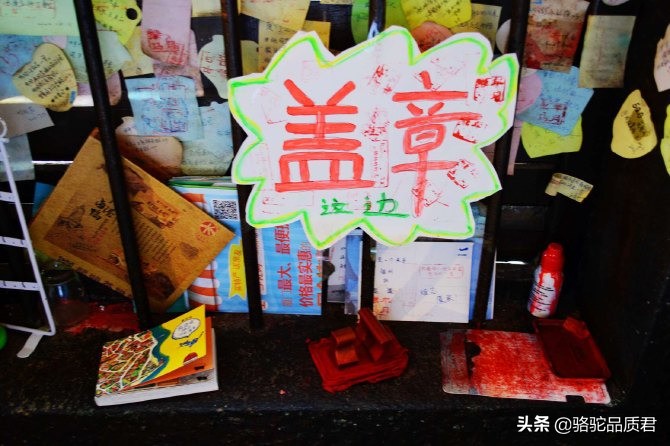 厦门海边之旅,厦门小众旅游体验