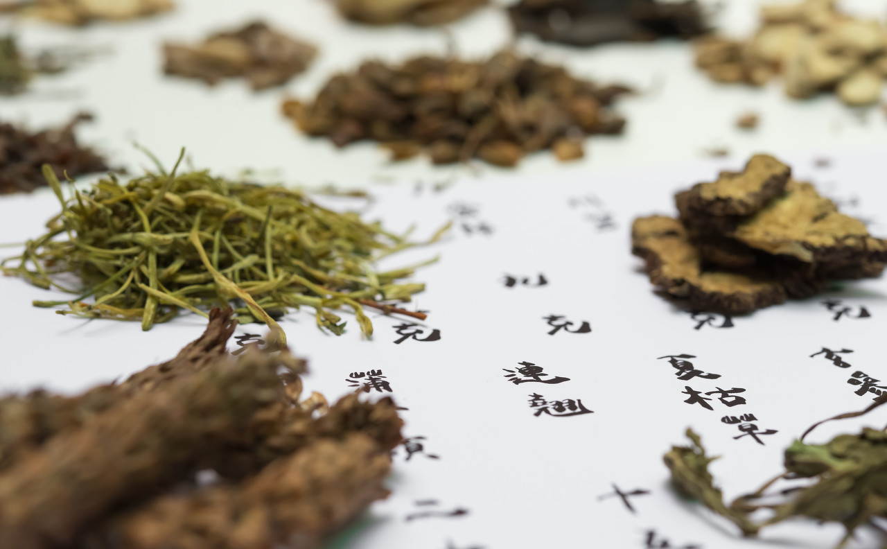 风寒感冒咳嗽流鼻涕喝蒲公英水,感冒嗓子疼能用蒲公英根泡水喝吗