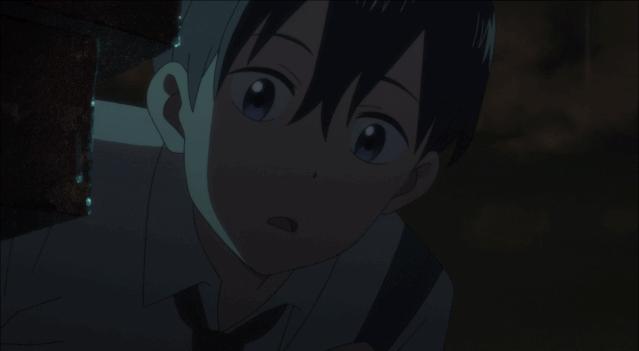 这部温情的撸猫片，让我哭得溃不成军，这是全世界猫*党**的胜利