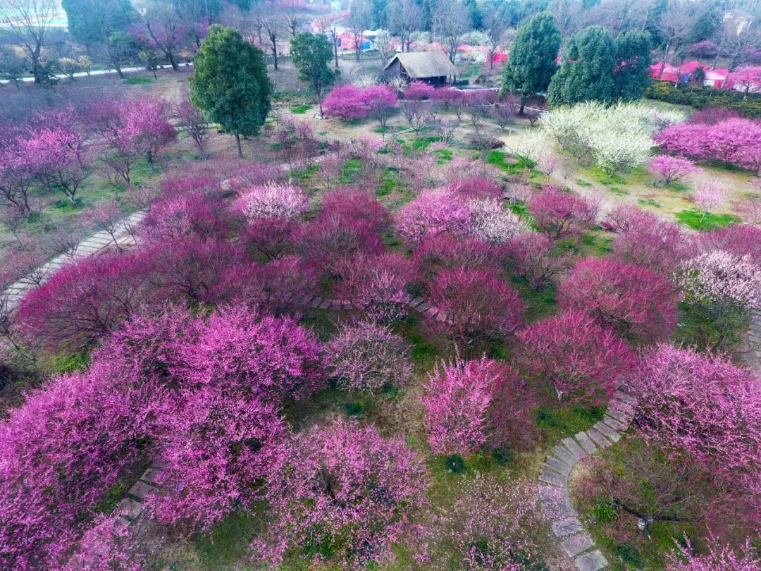 成都市秀丽东方,成都秀丽东方还在开放吗