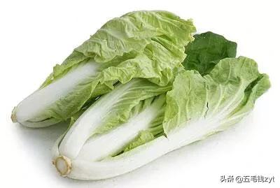 金边白菜的食谱,金边白菜的配方