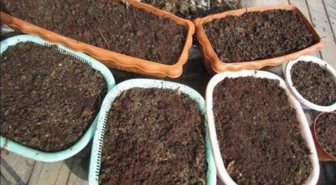 花卉营养土养花专用,最简单的自制养花土壤方法