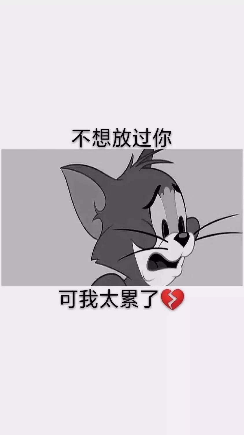 壁纸iphone壁纸,壁纸超清4k手机壁纸iphone全面屏