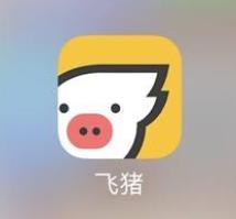 抢火车票软件哪个成功率高,五一火车票抢票软件哪个好