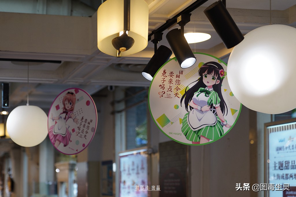 上海外文书店《请问您今天要来点兔子吗？？》主题限定店体验