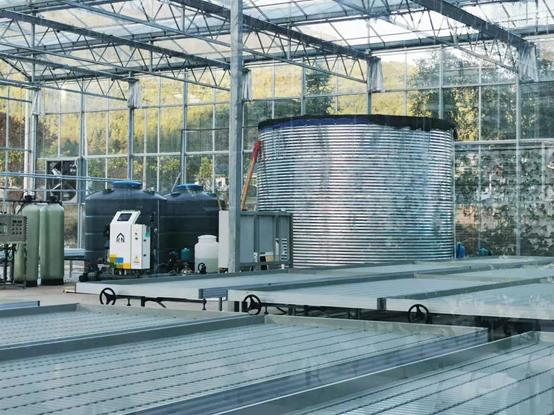 带你江西奉新看菜去，去了绝对不后悔