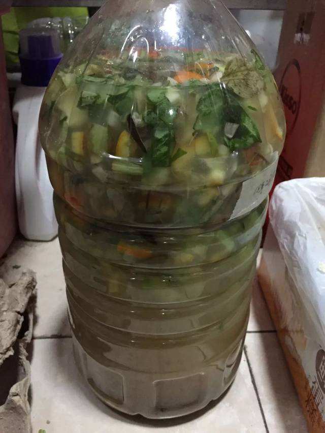 养花用的有机肥怎么除异味,家庭花卉怎样自制无臭味的有机肥