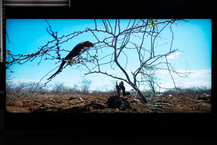 vr120hz,东芝电视55z740f55英寸