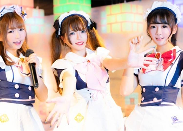 萌？治愈？宅男天堂？快来看看日本的女仆咖啡厅都提供哪些服务