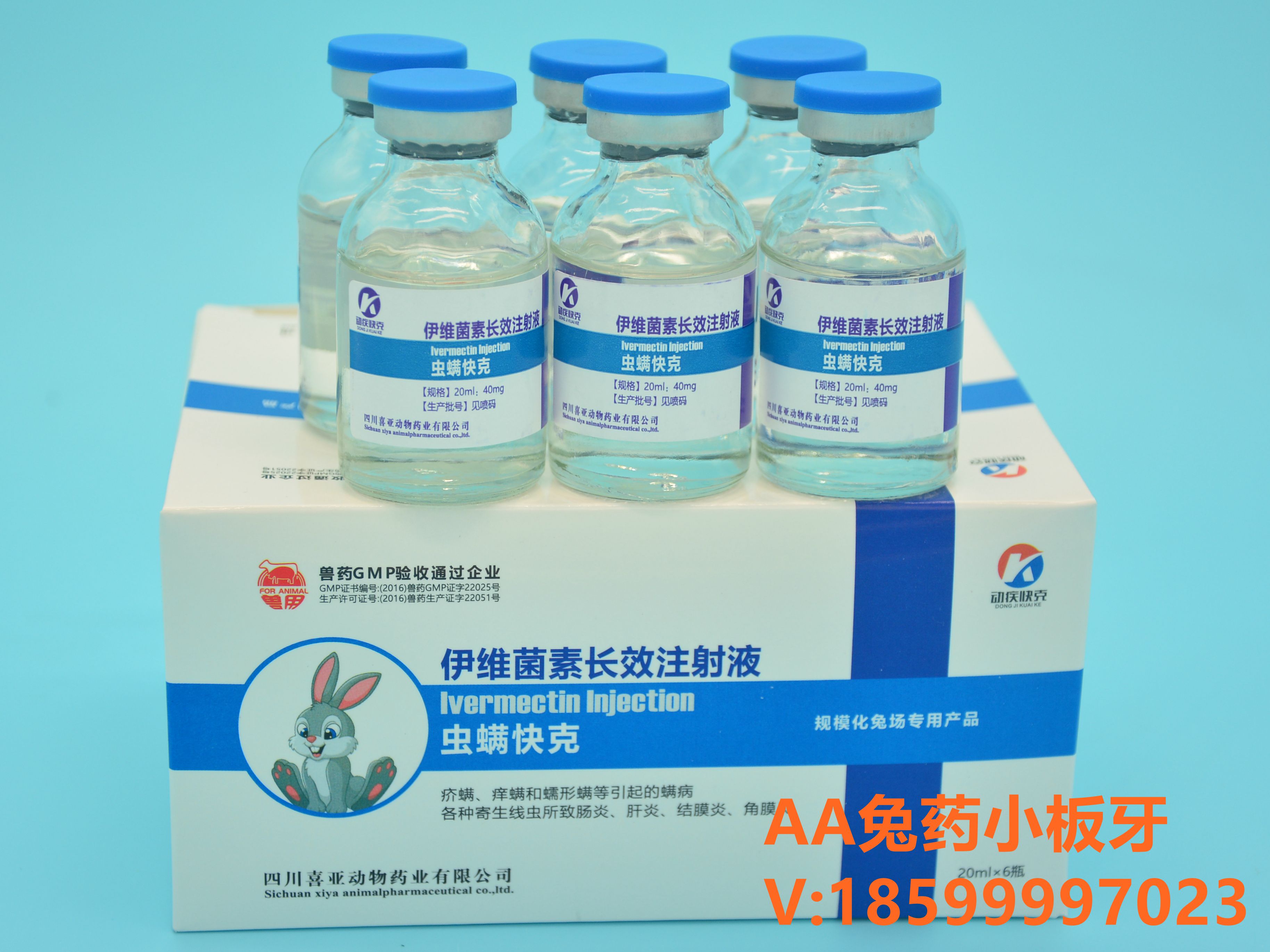 兔子真菌感染怎么治才能除根,兔子真菌感染能配种吗