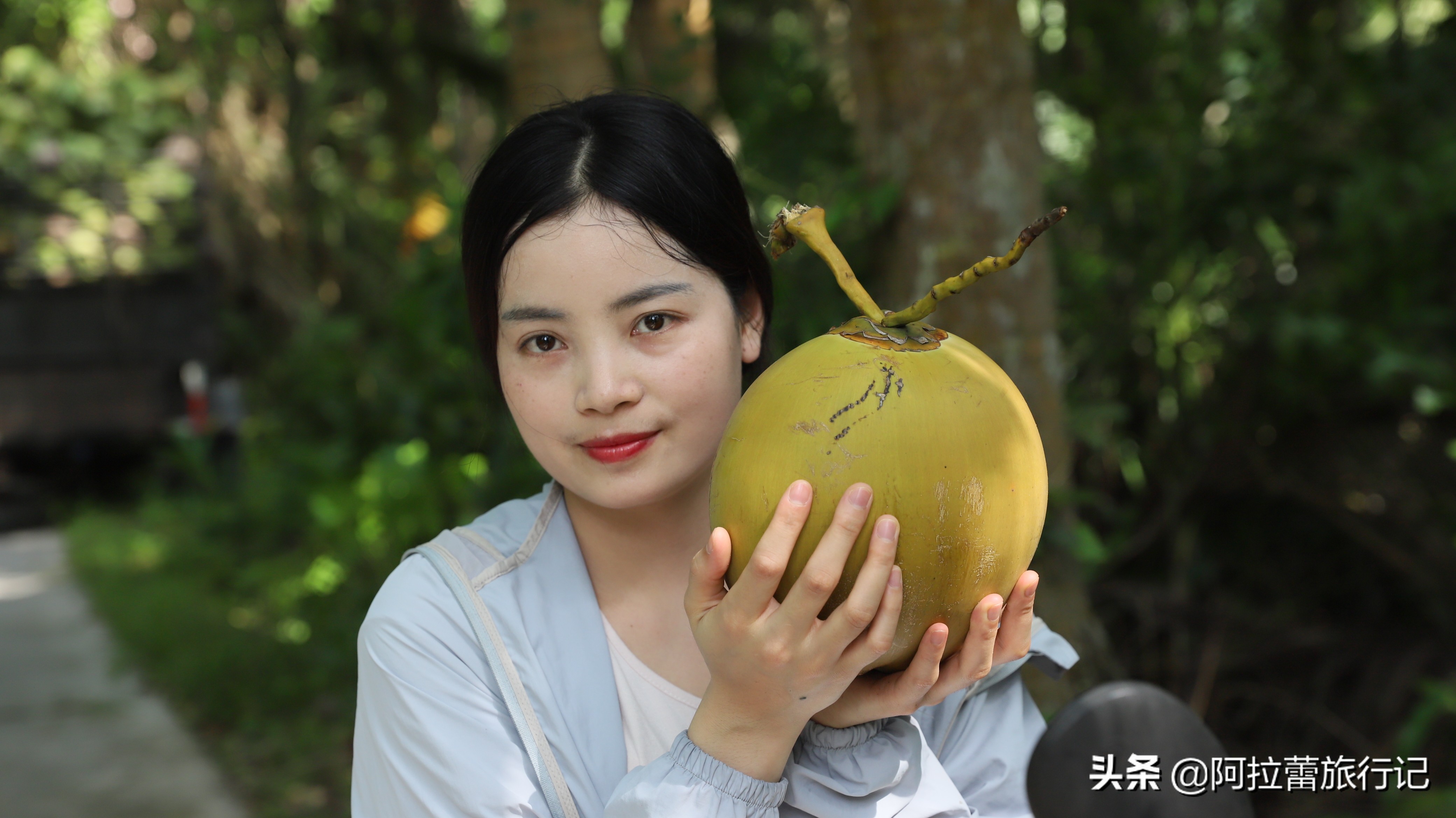 文昌的东郊椰林一大堆椰子,东郊椰林的椰子真的便宜吗