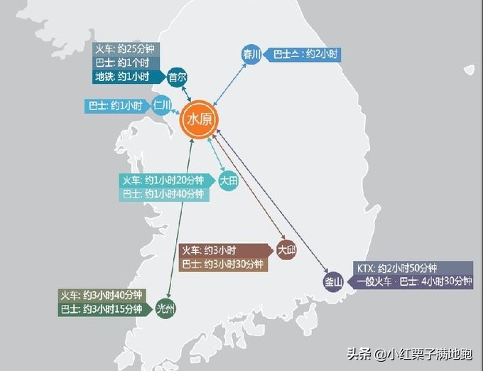 疫散花开张家界,疫散花开欢迎归来