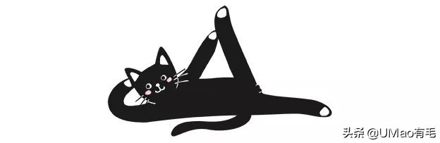 猫咪猜杯子游戏第三关,猫猜杯子游戏