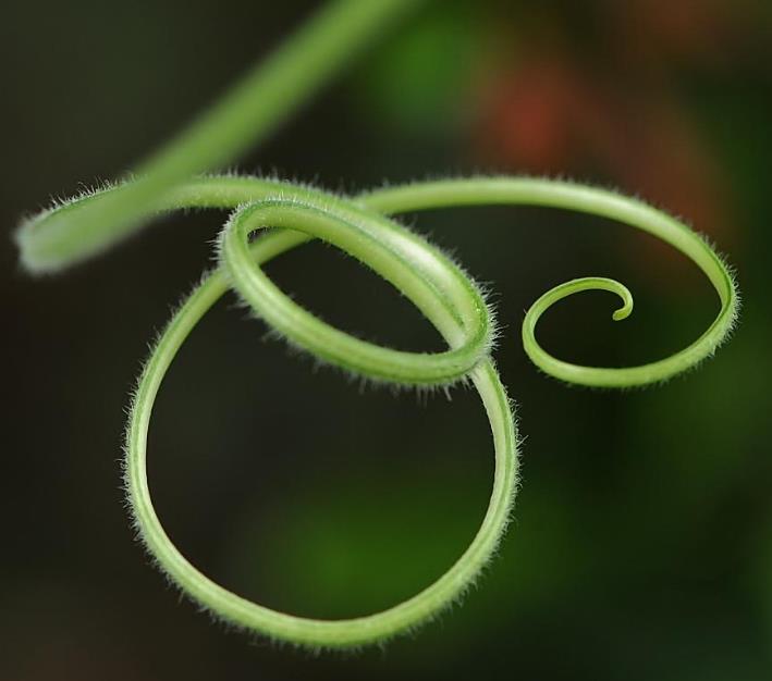 念什么咒语会改变运气,念什么咒语能让你运气变好