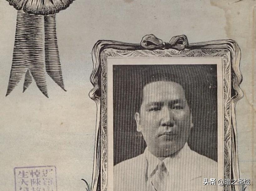 中国抗战实录1937到1946,华侨抗战