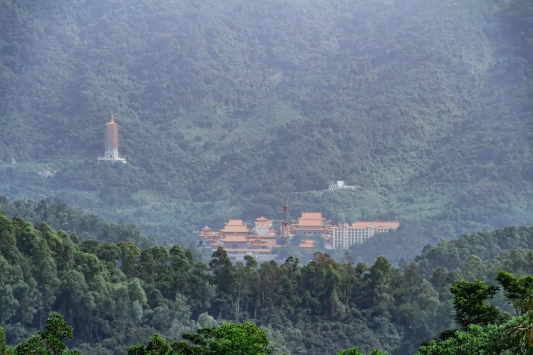 又发现深圳一个“绝美打卡地”!“淘金”绿道,人少免费