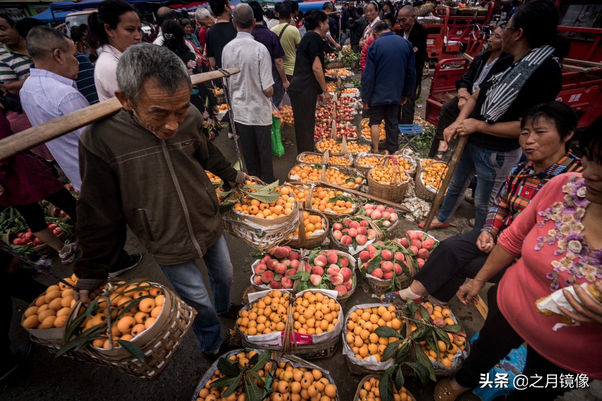 天府新区太平枇杷,成都太平枇杷批发市场