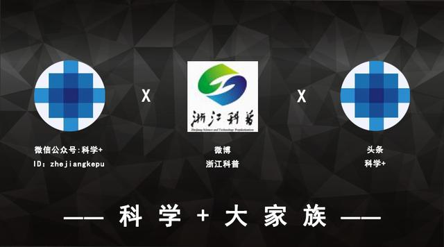 我们要评“国花”了！网友又吵翻了天！你pick哪种？