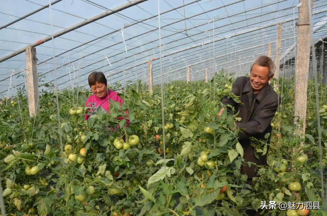 全国文明县城泗县,2024年泗县评上文明城市了吗