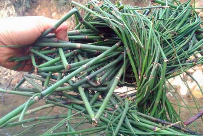 在农村治“牛皮癣”比城里好治是为什么？