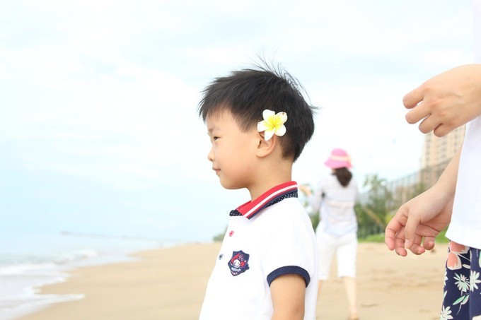 全家去三亚过年攻略,全家去三亚自驾过年攻略