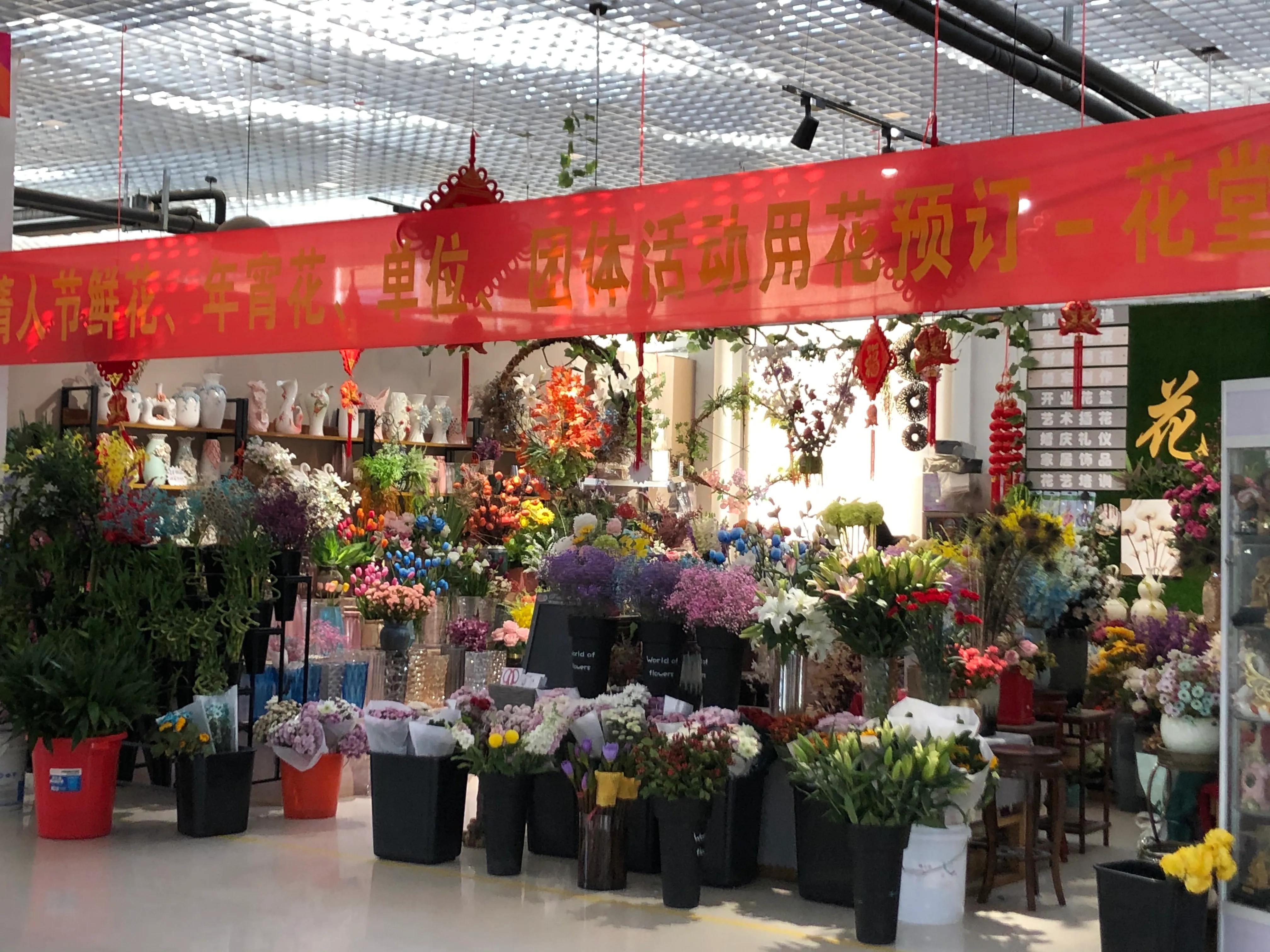 平顶山河滨公园旅游攻略,平顶山森林公园游记