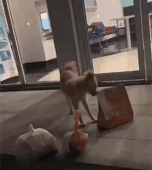 闉嬪瓙琚滃瓙琚埆浜哄伔,闉嬪瓙琚滃瓙琚伔