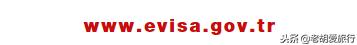 如何办理土耳其电子签证,土耳其怎么办理电子签证