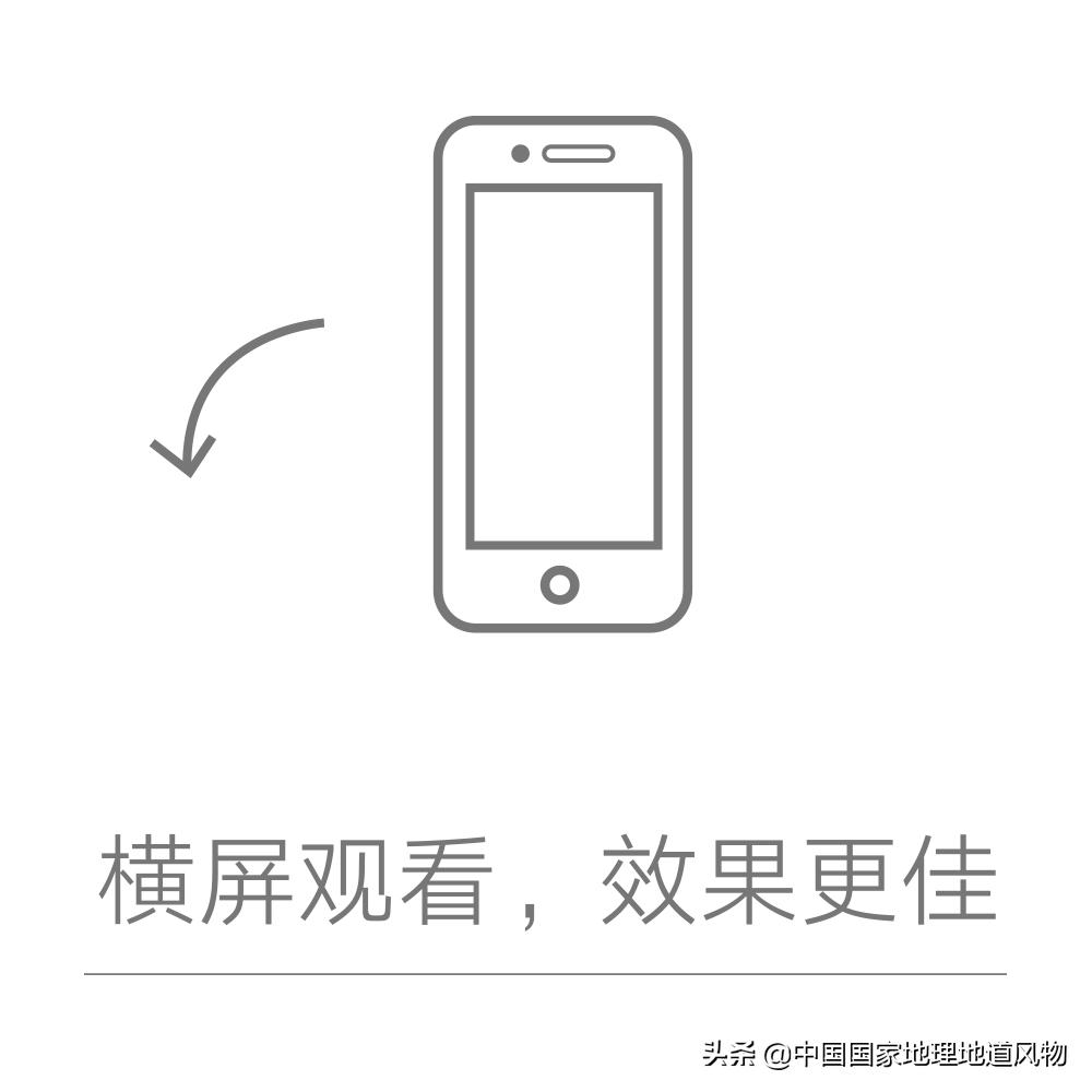 东北振兴大连地位突出,东北龙头大连