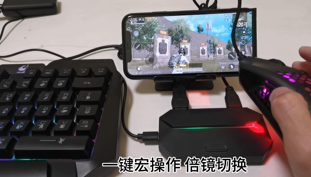 蜂刺吃鸡王座,蜂刺和王座