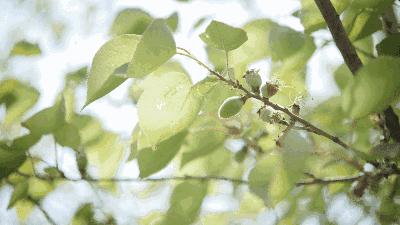 闺蜜之间真的会有嫉妒吗,闺蜜嫉妒你有另外一个闺蜜怎么办