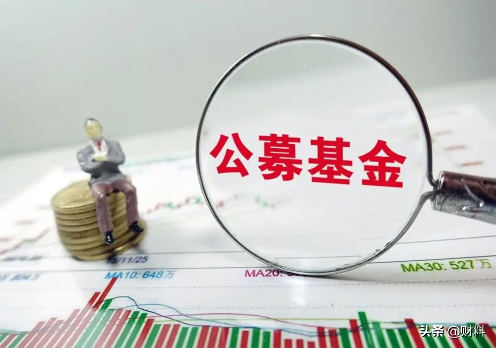 基金不能卖出全部份额吗,基金不能买市值200亿以下的吗