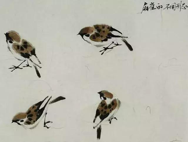 写意花鸟配景石的画法,干货写意花鸟类的画法